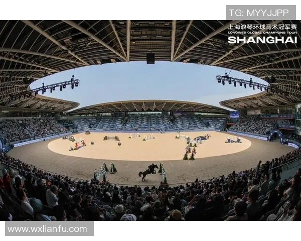 竞技场之巅：探索现代竞技场发展与未来趋势的全景视角