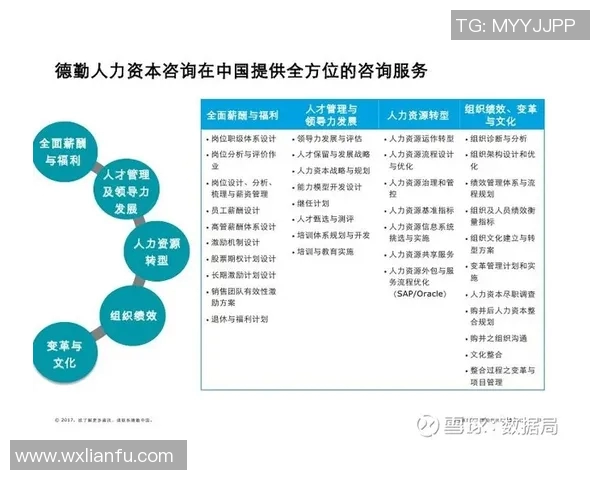 殡葬行业发展现状与未来趋势分析探讨如何提升服务质量与社会责任感